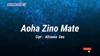 AOHA ZINO MATE  KARAOKE LAGU NIAS HITS [upl. by Frech]