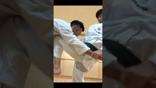 Fight with Heian Yondan【How to use Kata in Karate】 [upl. by Neilla452]