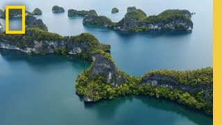 Raja Ampat The Last Stronghold of Healthy Coral Reefs  National Geographic [upl. by Ejrog]