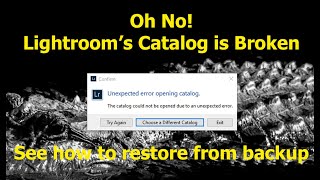 Restoring the Lightroom Classic Catalog from a Backup [upl. by Akimehs]