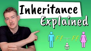 Inheritance Explained  How do we inherit features from our parents [upl. by Adnuhsed228]