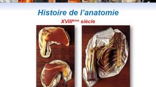 ANATOMIE MS Histoire de lAnatomie [upl. by Akkahs531]