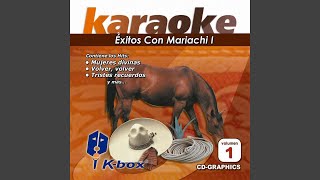 Paloma Negra Karaoke Version [upl. by Itagaki383]