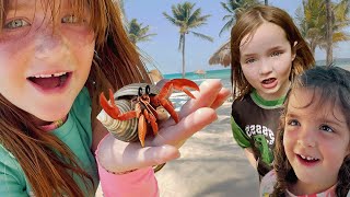 WE FOUND HERMiT CRABS Beach Animals Sand Castles and Playing in the Pool with Adley Niko amp Navey [upl. by Rexana]