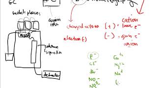 CTC 110 Technology Cation amp Anion Analysis Using Ion Chromatography [upl. by Maximilian]