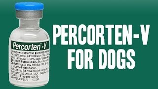 PercortenV for Dogs Addisons Disease [upl. by Sears]