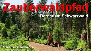 Zauberwaldpfad in Bernau im Schwarzwald [upl. by Lamej]