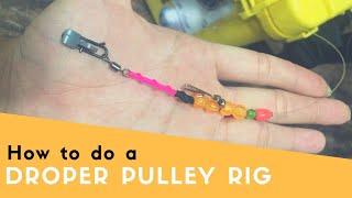 How to tie a dropper pulley rig  Featuring Tom  By PATV productions [upl. by Suolkcin]