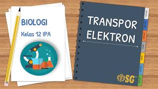 Pembahasan Materi Metabolisme Transpor Elektron [upl. by Zerep799]