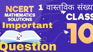 Math Chapter 1 Class 10th Most Important questions Half Yearly And Board Exam वास्तविक संख्या [upl. by Dagmar]