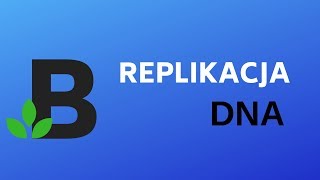 REPLIKACJA etapy replikacji  genetyka  KOREPETYCJE z BIOLOGII  202 [upl. by Chet906]