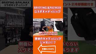 大人気ブリーフィングとパルマックスコラボキャディバッグの使い勝手が超便利すぎる！ ゴルフ BRIEFING golf PALMAX [upl. by Cesare343]