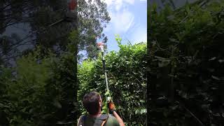 Como funcionar un podador STIHL [upl. by Tuckie888]