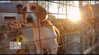 Chateau de Champchevrier reportage France 3 [upl. by Sochor8]