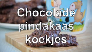 Chocolade pindakaas koekjes recept [upl. by Nassir]