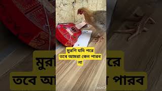 চেষ্টা করলেই হবে trendingdances funny kenolagesunnosunno trendingnow cutebaby cutebaby [upl. by Ellevel]