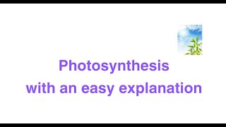 Photosynthesis  Kids Educational video [upl. by Glanti]