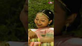 Mishri Ko Baag Laga De Rasiya  Rajasthani Song  Seema Mishra  Veena Music love music [upl. by Guyon104]