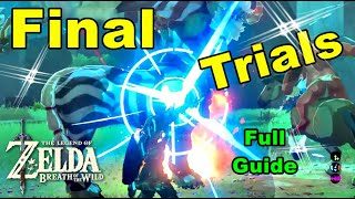 Final Trials of The Sword Zelda Breath of The Wild [upl. by Calondra]