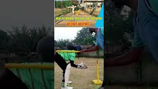 wicket keeping drill Shorts [upl. by Esilegna81]