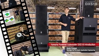 Yamaha Powered Subwoofer DXS18 Introduction [upl. by Melgar15]