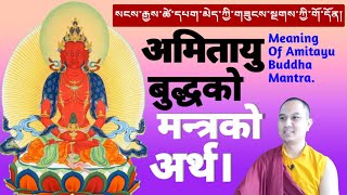 Meaning Of Meditation amp Prayer Amitayu Mantras [upl. by Goar666]