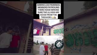 chicanofoos chicano sureno norteno hoodvlogs [upl. by Areik]