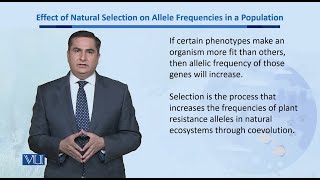 Effect of Natural Selection on Allele Frequencies  Biodiversity amp EvolutionII  BT201Topic166 [upl. by Xonk]