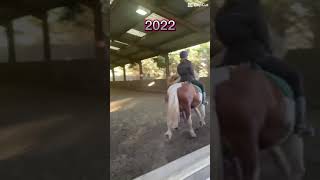 2022 VS 2024 showjumping horse equestrian horseriding pony horserider [upl. by Refinney]