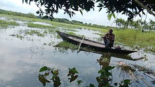 নৌকায় বসে বিলে মাছ ধরা  Fishing on Boat  Bangladeshi village with natural beauty❤️ [upl. by Virgina]