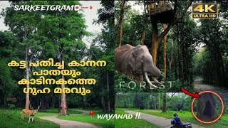 ഇങ്ങിനൊരു ഗ്രാമപാത വയനാട് ഉള്ളത് അറിയാമോMadaparamb tree cave forest pulpally forest [upl. by Navetse]