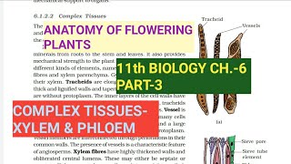 Class 11 BiologyCh6 Part3Complex tissues Xylem amp phloemStudy with Farru [upl. by Zolly]