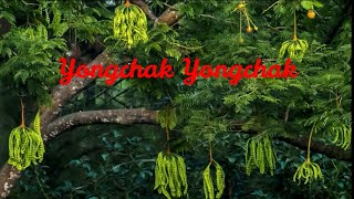 Yongchak Yongchak  Manipuri Rhymes [upl. by Eerol124]