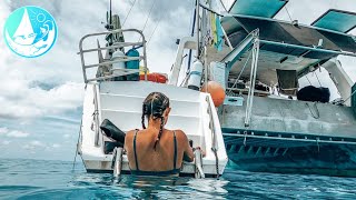 Living on our dream boat A 50 foot aluminium Catamaran Episode 297 [upl. by Charmine]