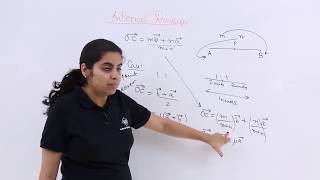 Class 12th  Internal Division  Vector Algebra  Tutorials Point [upl. by Arihk]