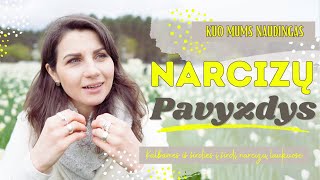 Narcizų rodomas pavyzdys naudingas [upl. by Dielle21]