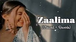 Zaalima Full Song Shah Rukh KhanMahira Khan SlowedReverb [upl. by Eveineg]