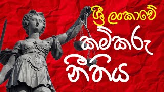 Labour Law in Sri Lanka in Sinhala  Part 01 [upl. by Verlie]