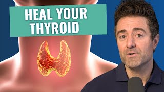 The 3 BEST and WORST Hashimoto’s Thyroiditis Treatments [upl. by Airym]