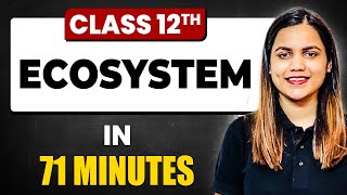 ECOSYSTEM in 71 Minutes  Biology Chapter 14  Full Chapter Revision Class 12th [upl. by Perkin]