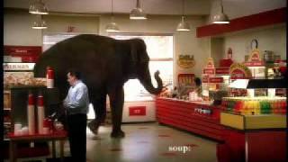 Mastercard Priceless Elephant [upl. by Starkey]