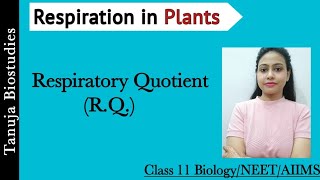 Respiration in Plants  Respiratory Quotient  Amphibolic pathway  Class 11 BiologyNEETAIIMS [upl. by Venetia502]