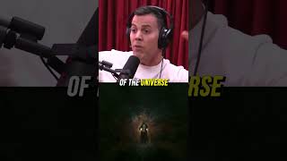 Joe Rogan Explains Hallucinations [upl. by Leahcimnoj]