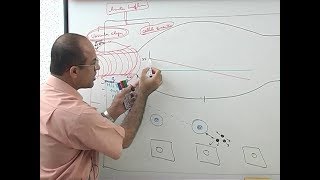 Inflammation  Vascular Events  Immunology  Dr Najeeb [upl. by Bokaj]