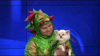 Piff the Magic Dragon amp Mr Piffles Make Magic Happen at KTLA [upl. by Miko]