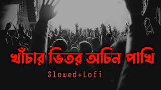 খাচার ভেতর অচিন পাখি  Kachar Betor Ochin Pakhi  SlowedLofi  Lalon Shah sheikh istiaq [upl. by Durst]