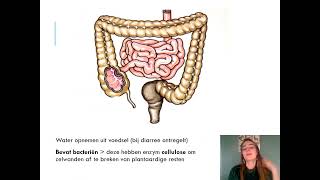 Samenvatting Voeding amp Vertering 4 VMBO Biologie Voor Jou MAX [upl. by Stempien]