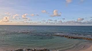 Bahamas Live 🇧🇸🐬Love Beach Live Cam 11082024 [upl. by Niletak]