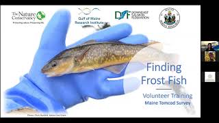 Finding Frost Fish Citizen Science Training December 2020 [upl. by Yantruoc]