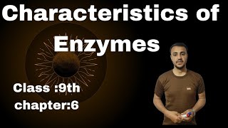 Characteristics Of Enzymes in urdu  Hindi  Class 9th Chapter 6 [upl. by Eudoxia]